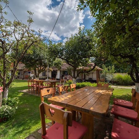 Domacinstvo Cikic Zasavica ξενώνας Εξωτερικό φωτογραφία